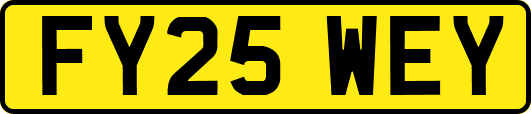 FY25WEY