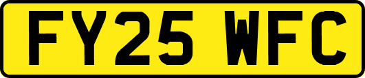 FY25WFC