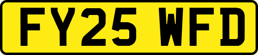 FY25WFD