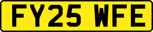 FY25WFE