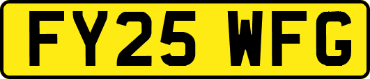 FY25WFG