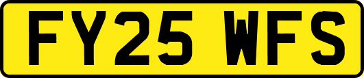 FY25WFS