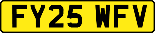 FY25WFV