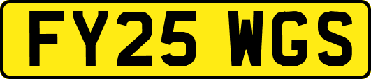 FY25WGS