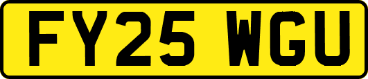 FY25WGU