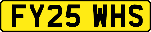 FY25WHS