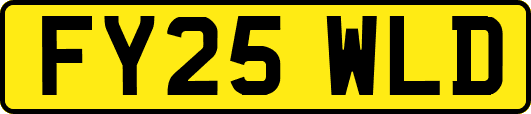 FY25WLD