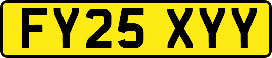 FY25XYY
