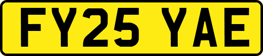 FY25YAE