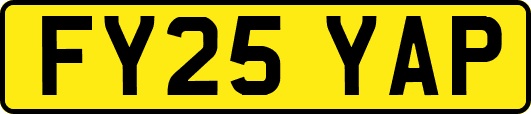 FY25YAP