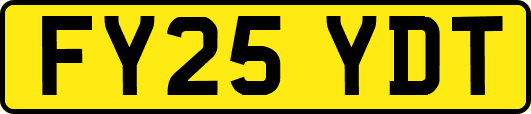FY25YDT