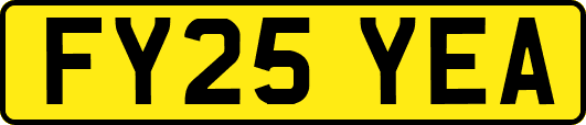 FY25YEA