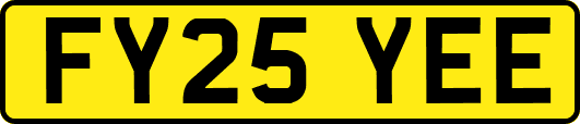 FY25YEE