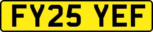 FY25YEF