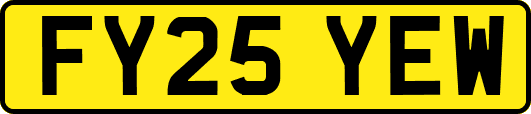 FY25YEW