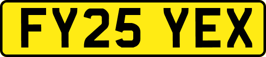 FY25YEX