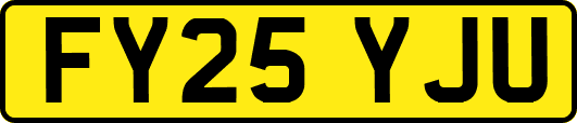 FY25YJU