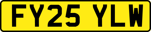FY25YLW