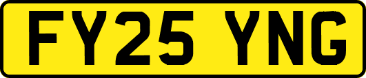 FY25YNG