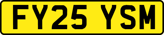 FY25YSM