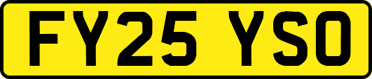 FY25YSO