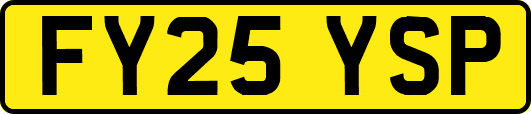 FY25YSP