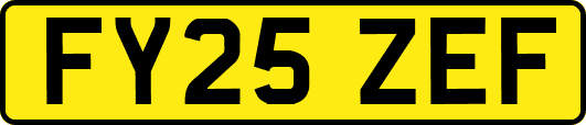 FY25ZEF