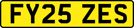 FY25ZES