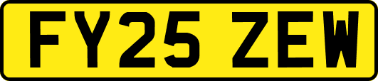 FY25ZEW