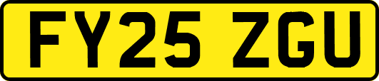 FY25ZGU