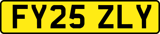 FY25ZLY