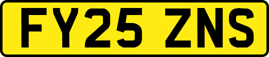 FY25ZNS