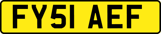 FY51AEF