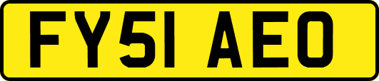 FY51AEO