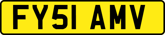 FY51AMV