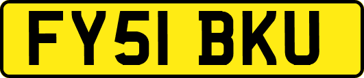 FY51BKU