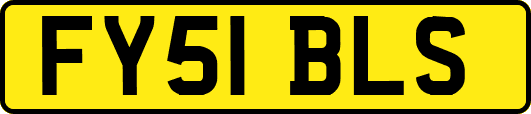 FY51BLS