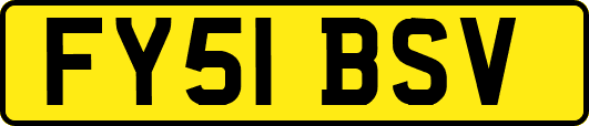 FY51BSV