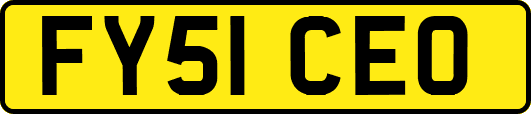 FY51CEO