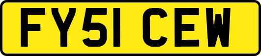 FY51CEW