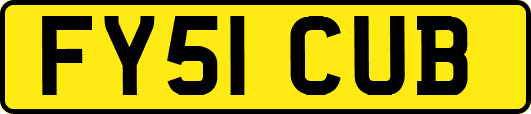 FY51CUB