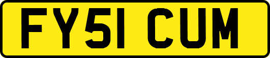 FY51CUM