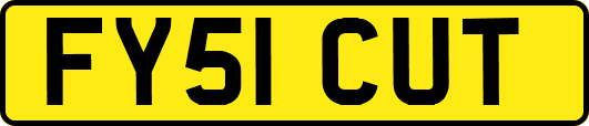 FY51CUT