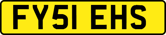 FY51EHS