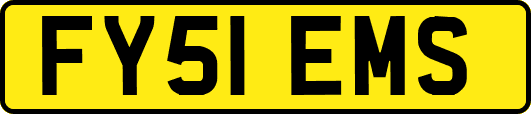 FY51EMS