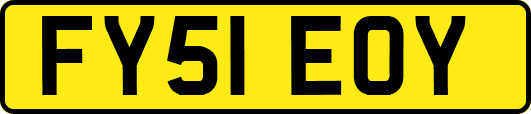 FY51EOY