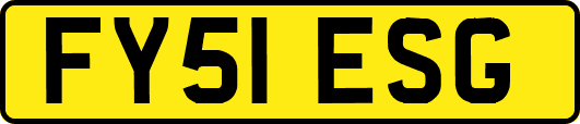 FY51ESG