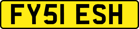 FY51ESH