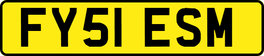 FY51ESM