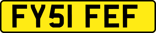 FY51FEF